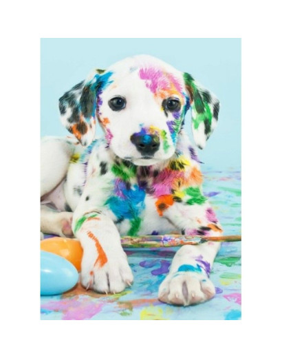 DIAMOND PAINTING HAFT...